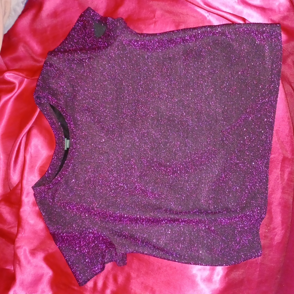 Sparkly glitter purple crop top. The size is a medium